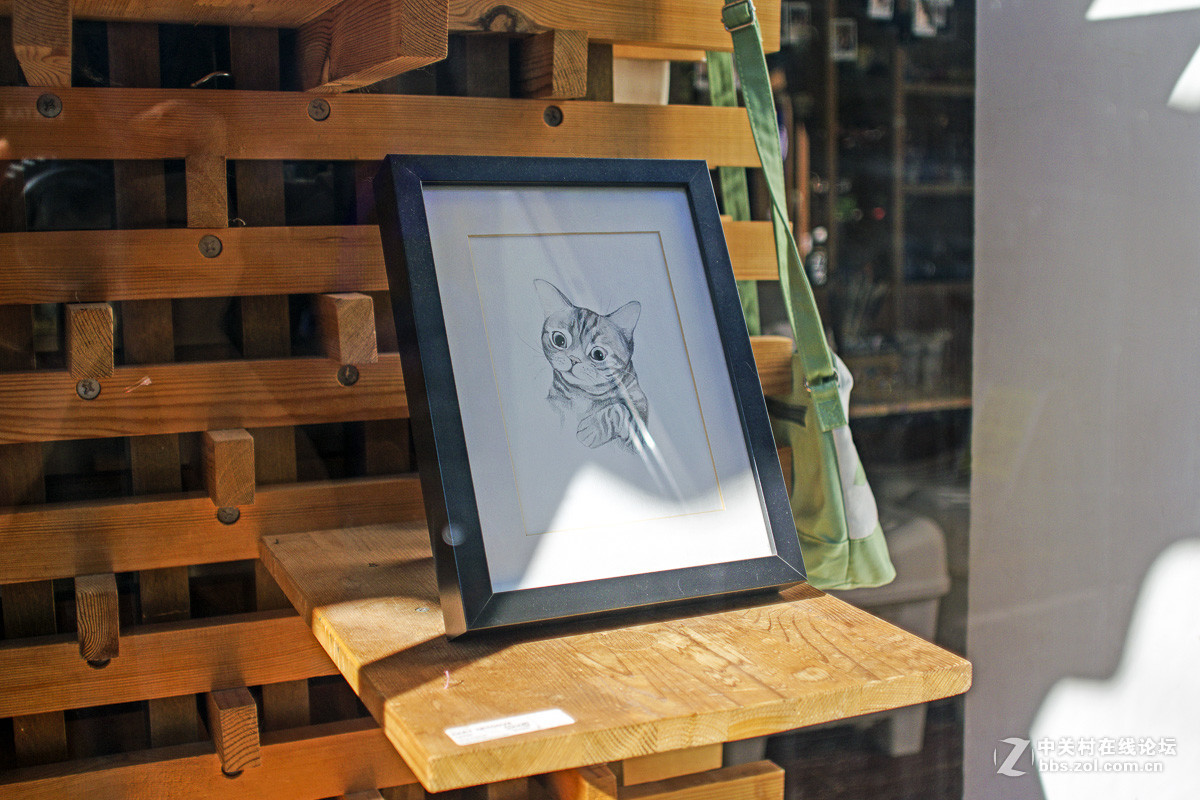 我的宾得K70首贴：K70+K24/2.8老头试机