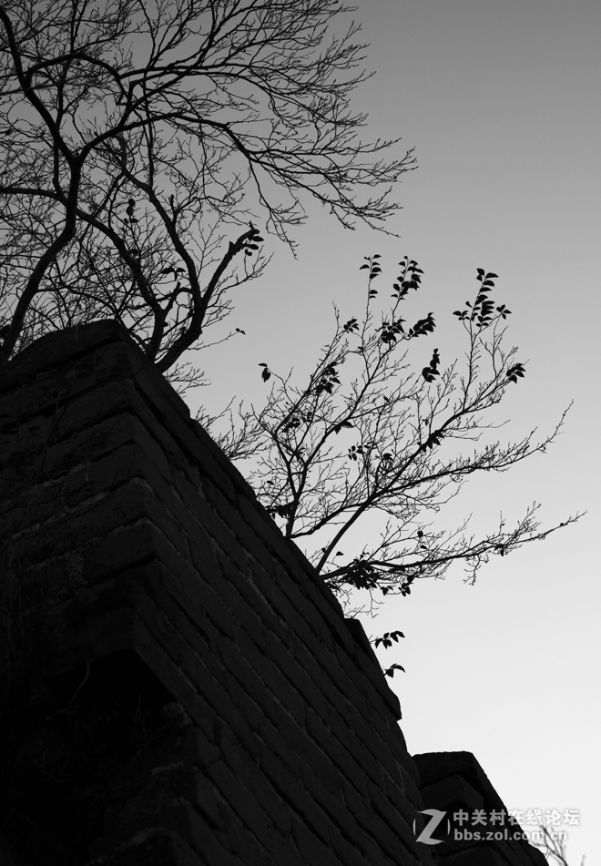 令人心生爱怜的箭扣长城