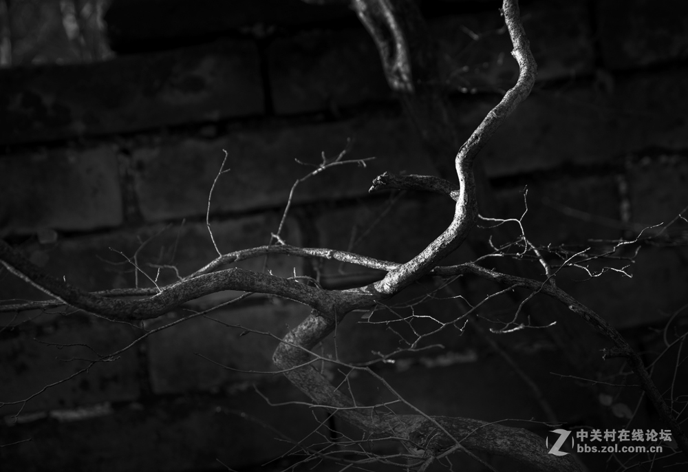 令人心生爱怜的箭扣长城