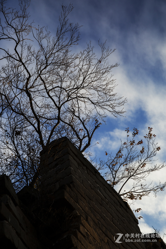 令人心生爱怜的箭扣长城