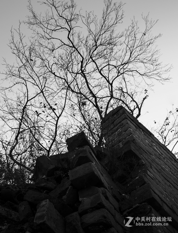 令人心生爱怜的箭扣长城