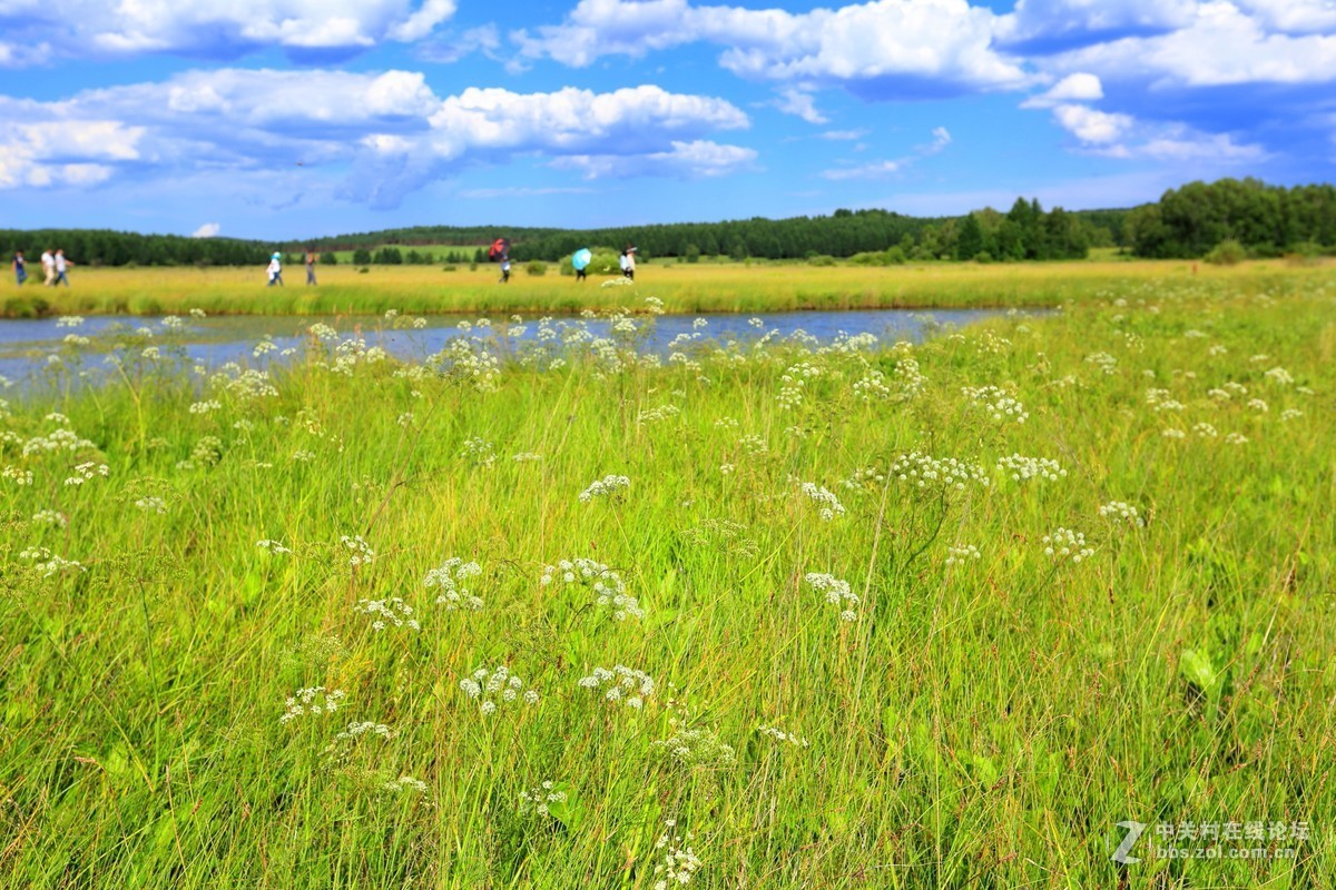 河北承德塞罕坝风景随拍