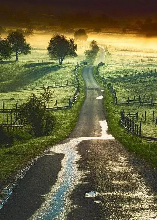 这才是真正的天路，美得令人窒息！