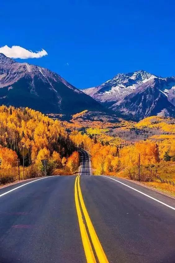 这才是真正的天路，美得令人窒息！