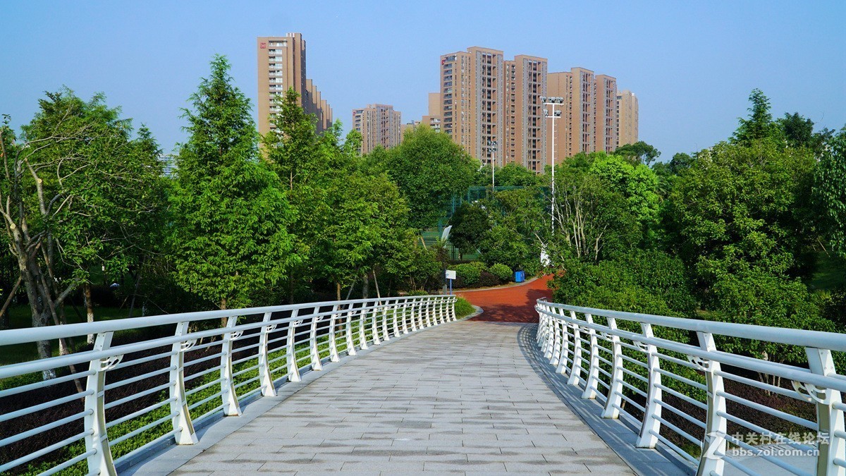 宁波镇海绿轴体育公园随拍