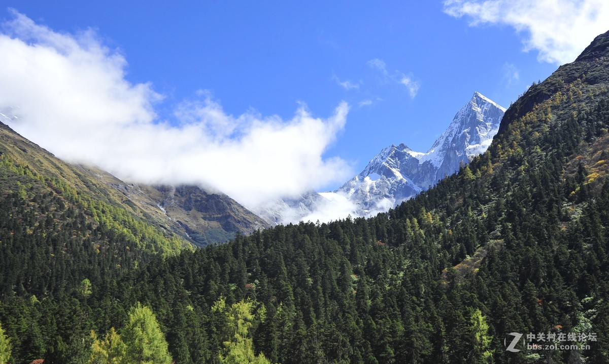 醉美川西 米亚罗 毕棚沟之行 童话世界