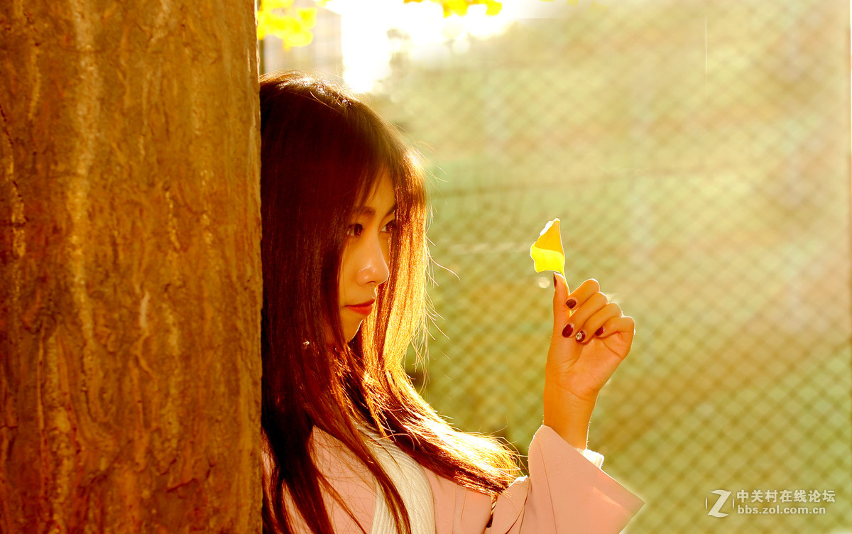 #2015MissChinajoy摄影大赛#《正是落叶时》。