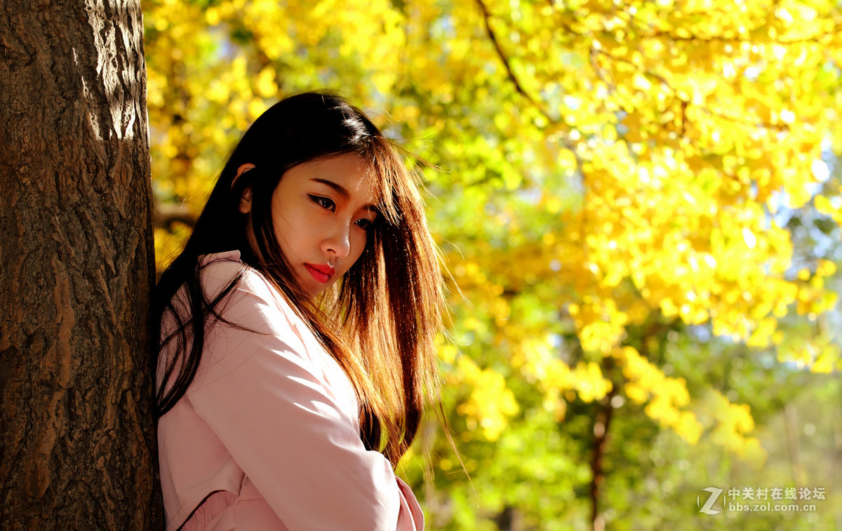#2015MissChinajoy摄影大赛#《正是落叶时》。