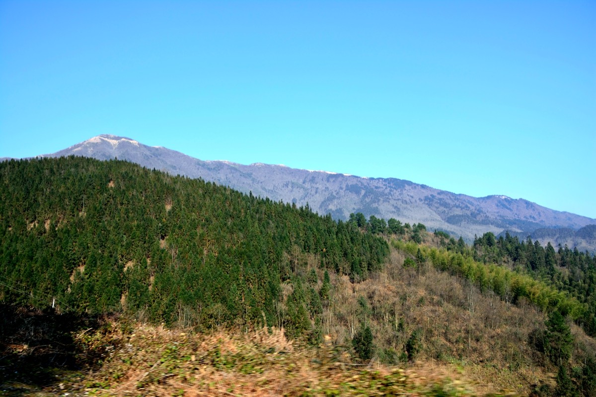 荒山野岭
