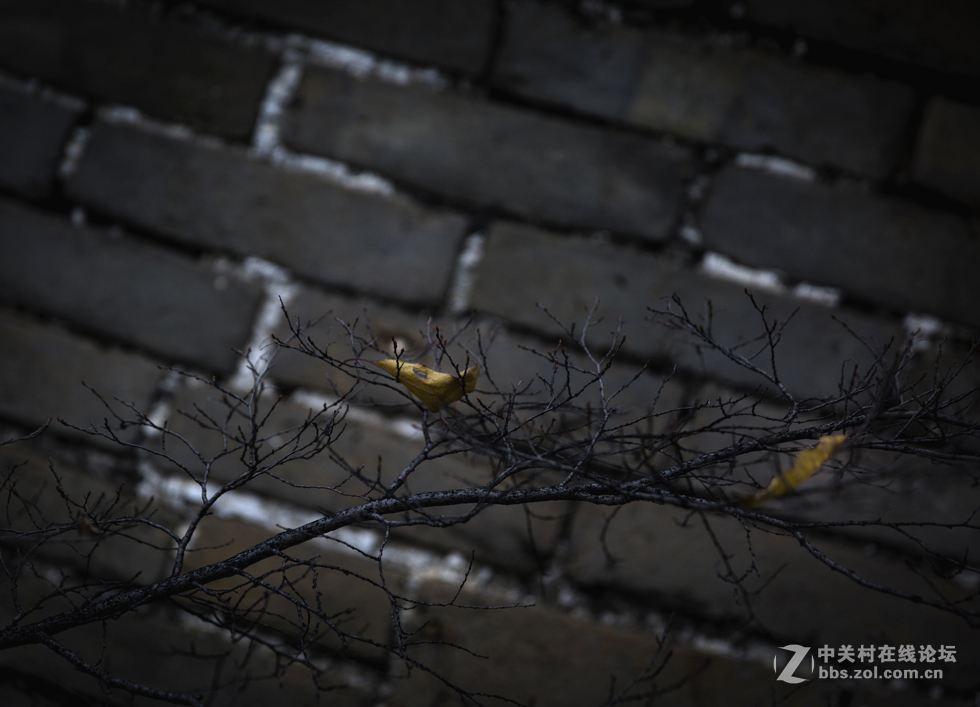 令人心生爱怜的箭扣长城