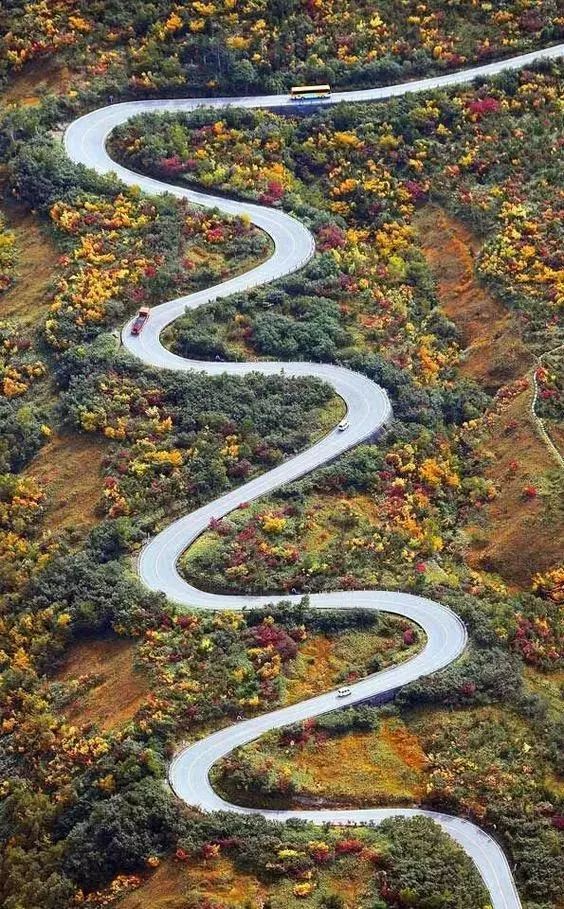 这才是真正的天路，美得令人窒息！