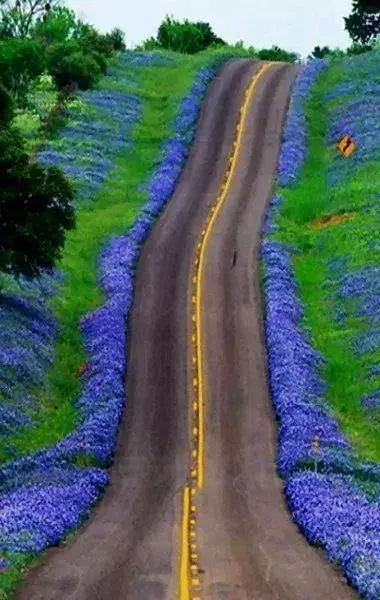 这才是真正的天路，美得令人窒息！