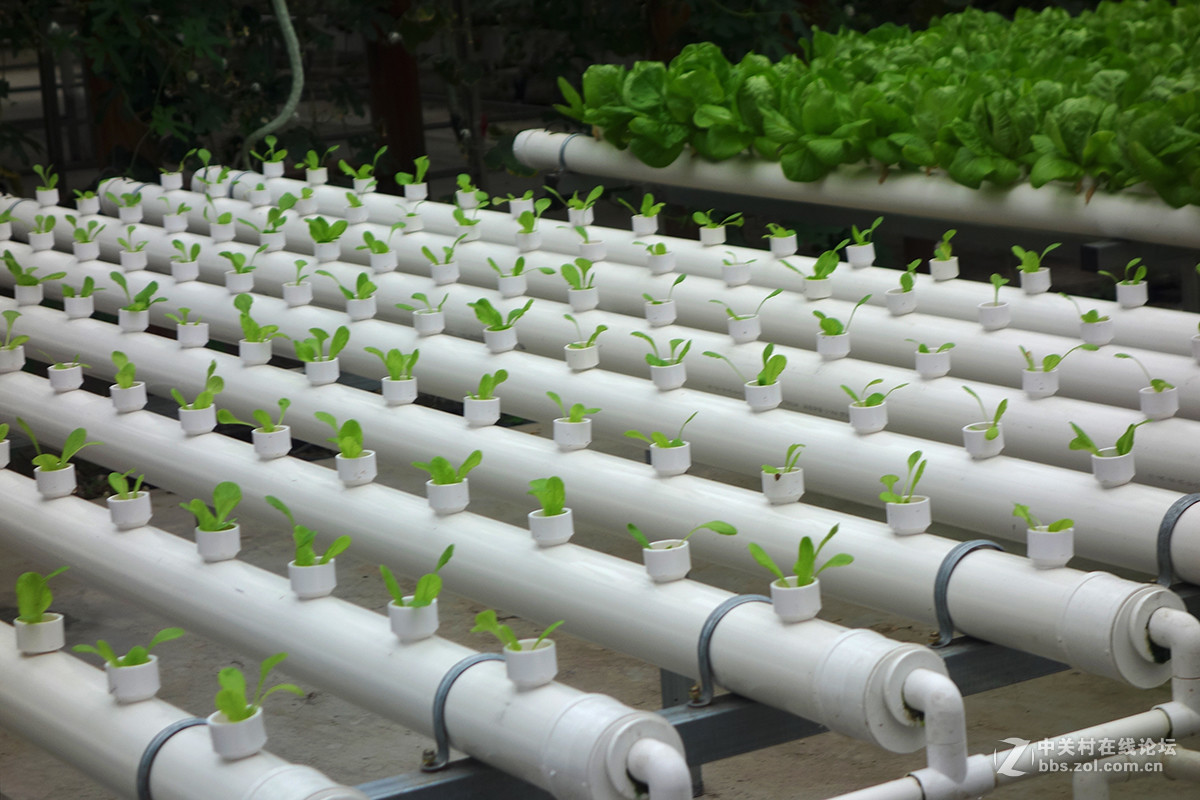 走进华西村——农业生态园