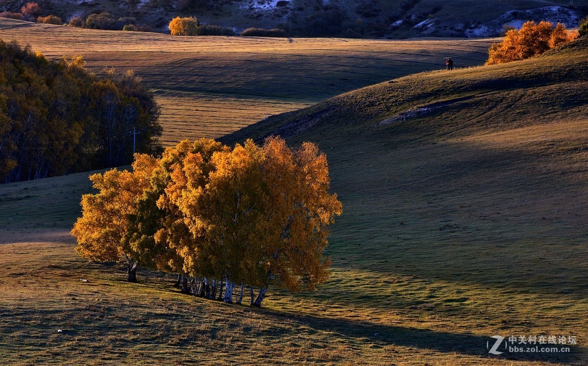 #版主坐堂#《自然风景星空(中国)每月精选》2016年11月份优秀作品选编