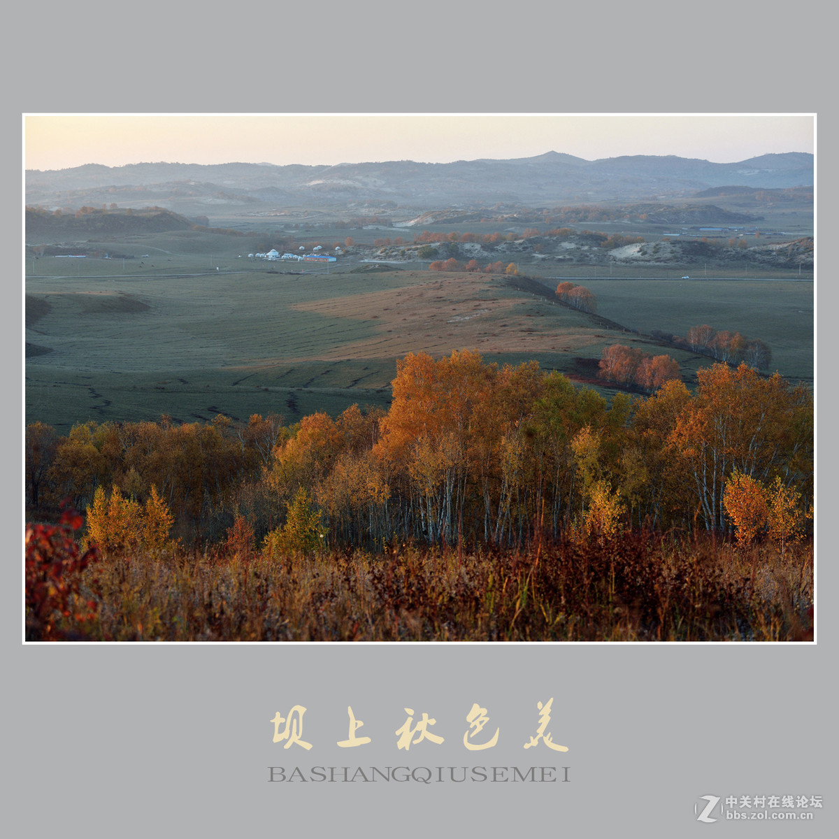 坝上秋色美    （尼康D810配27-70mm镜头）