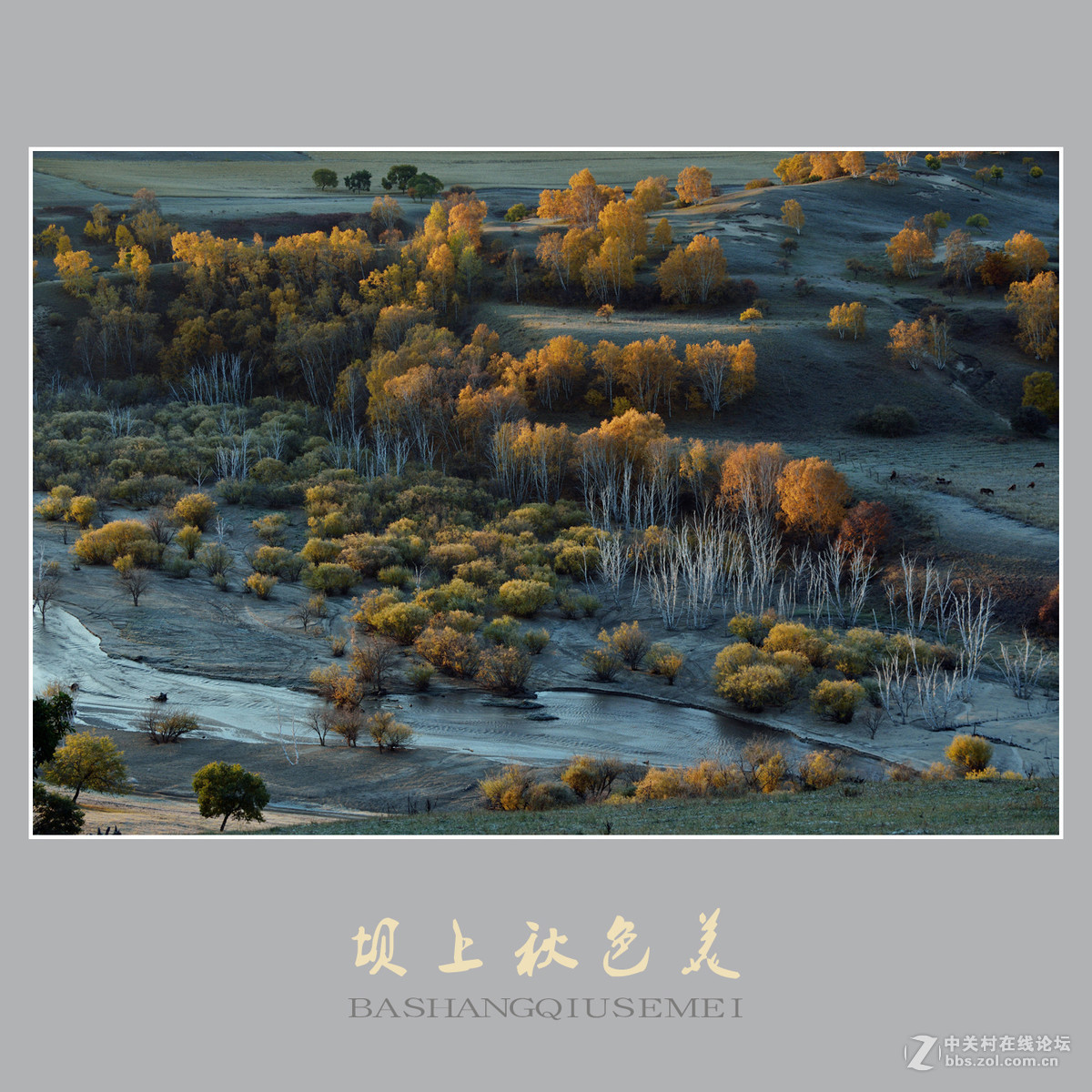 坝上秋色美    （尼康D810配27-70mm镜头）