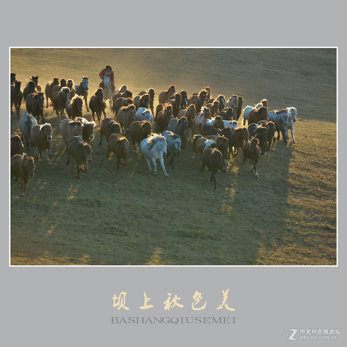 坝上秋色美    （尼康D810配27-70mm镜头）