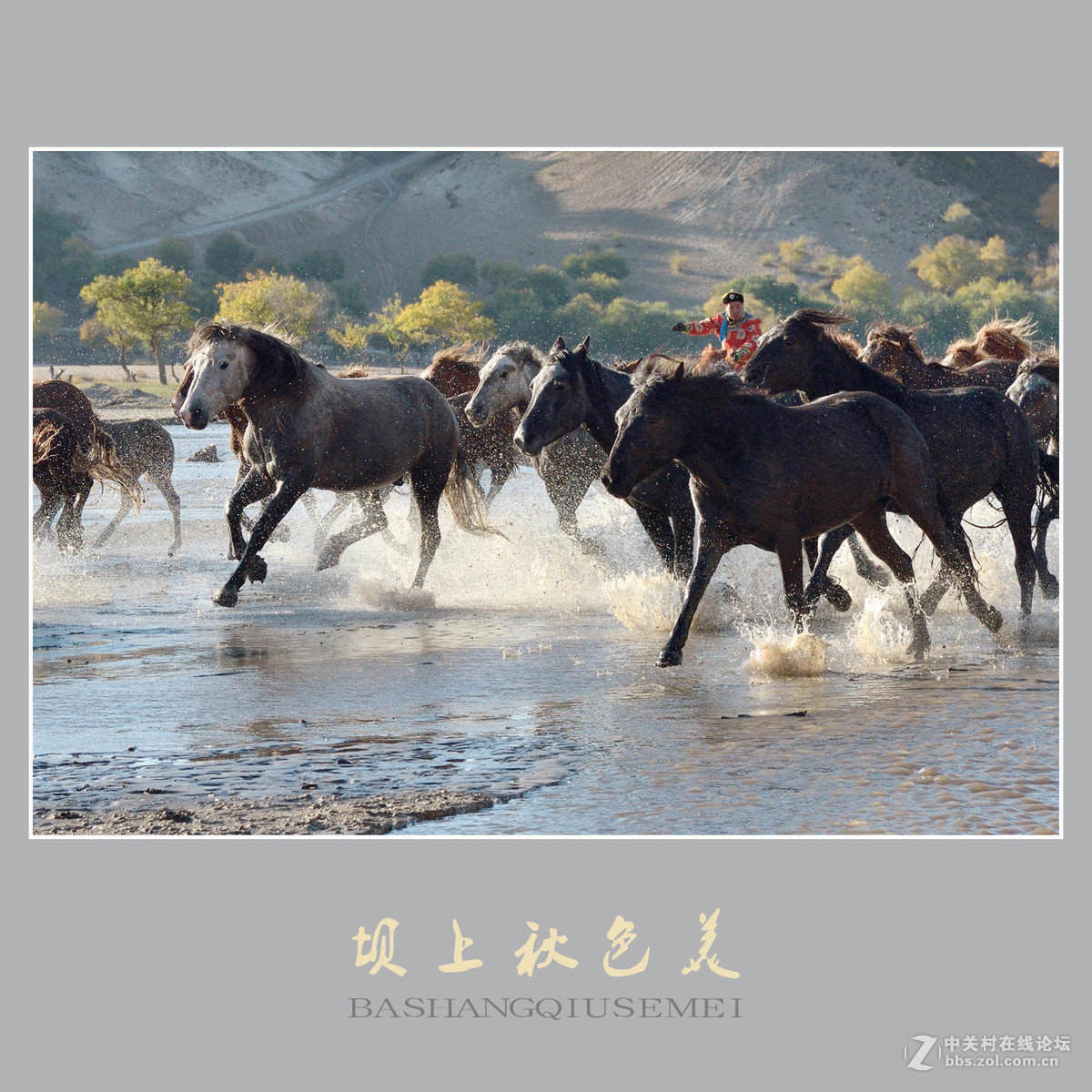 坝上秋色美    （尼康D810配27-70mm镜头）