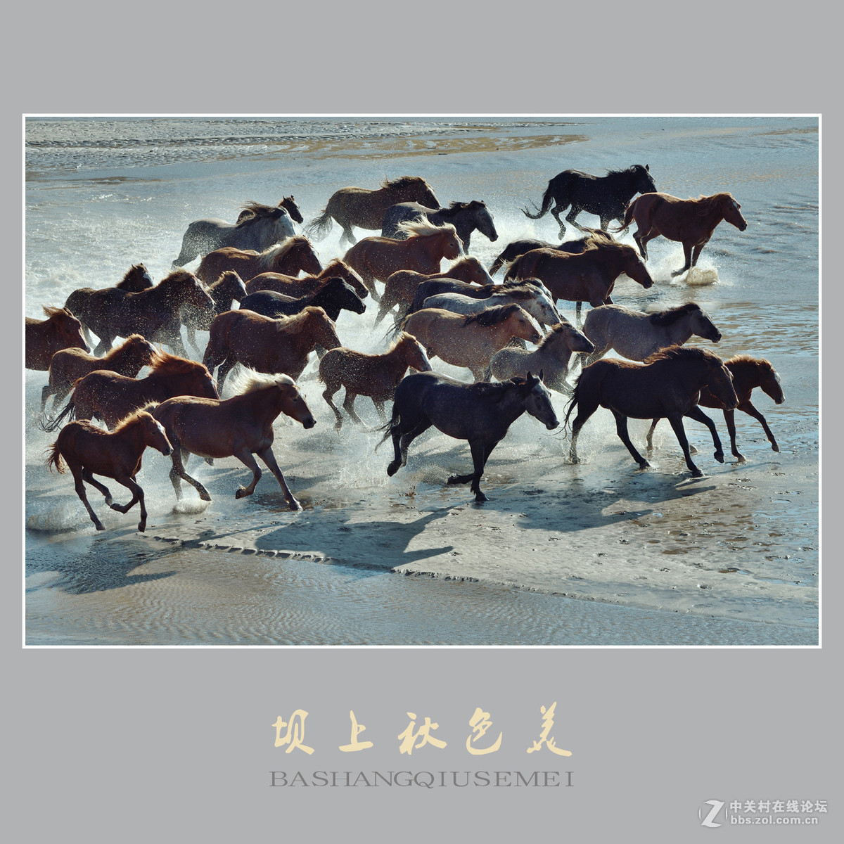 坝上秋色美    （尼康D810配27-70mm镜头）