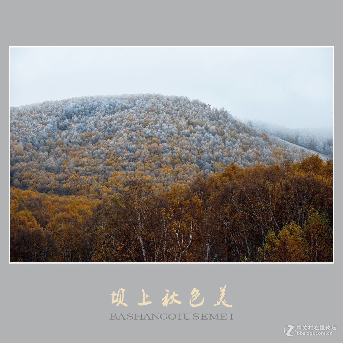 坝上秋色美    （尼康D810配27-70mm镜头）