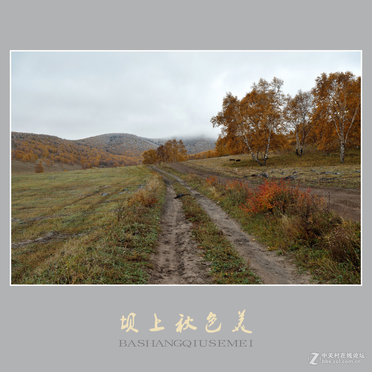 坝上秋色美    （尼康D810配27-70mm镜头）