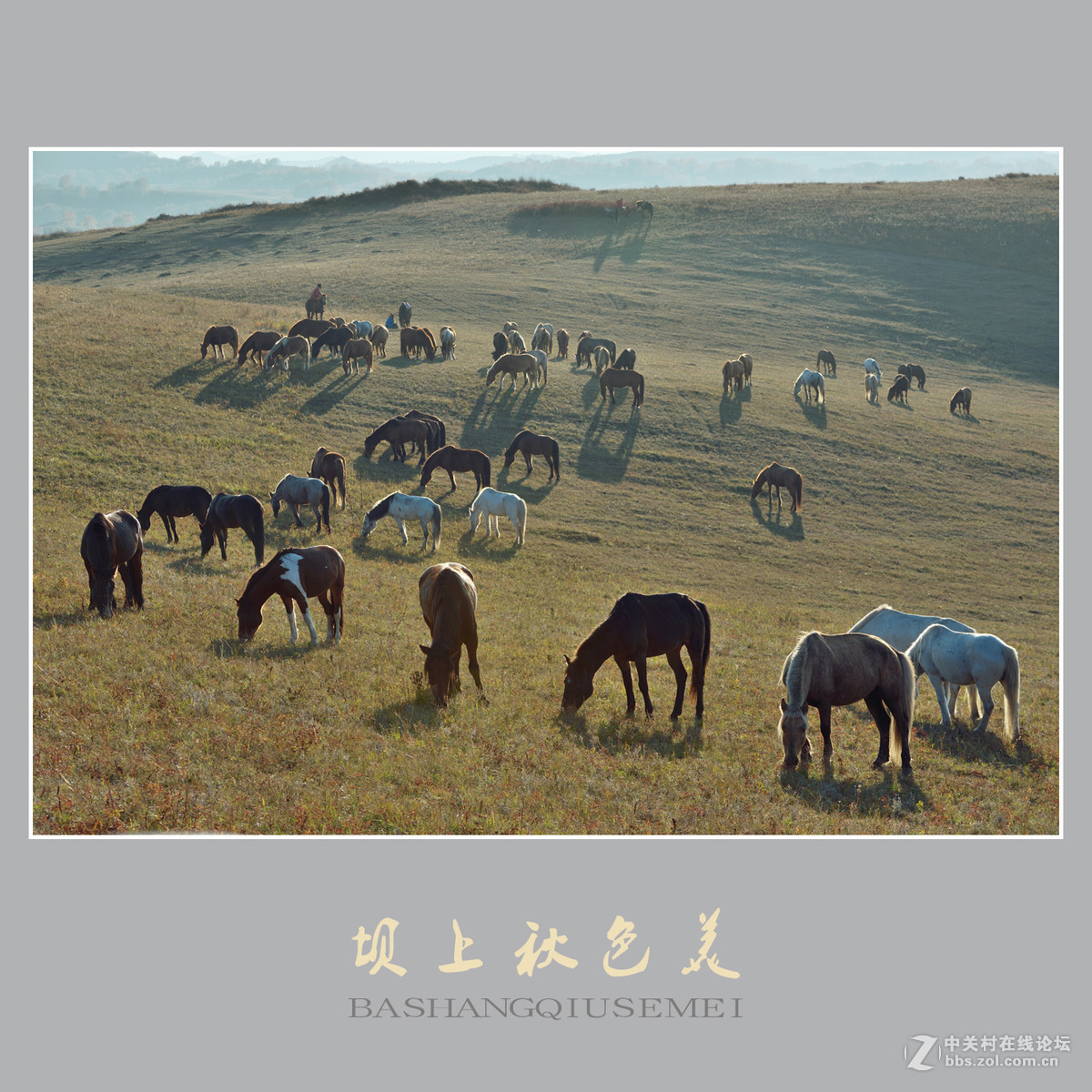 坝上秋色美    （尼康D810配27-70mm镜头）