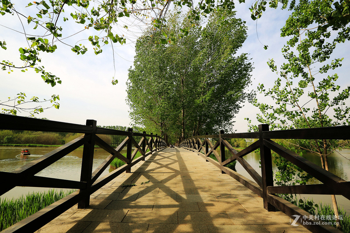 2019汉石桥湿地-旅游攻略-门票-地址-问答-游记点评，顺义旅游旅游景点推荐-去哪儿攻略