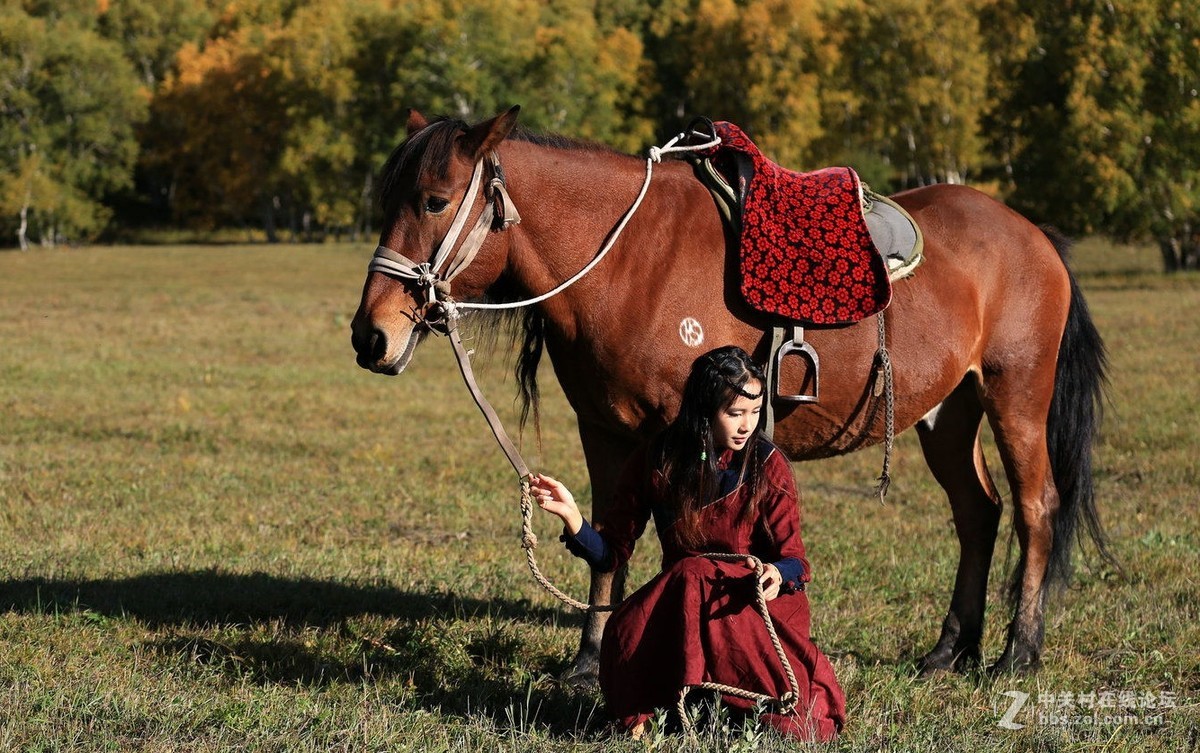 草原姑娘骑马图片图片