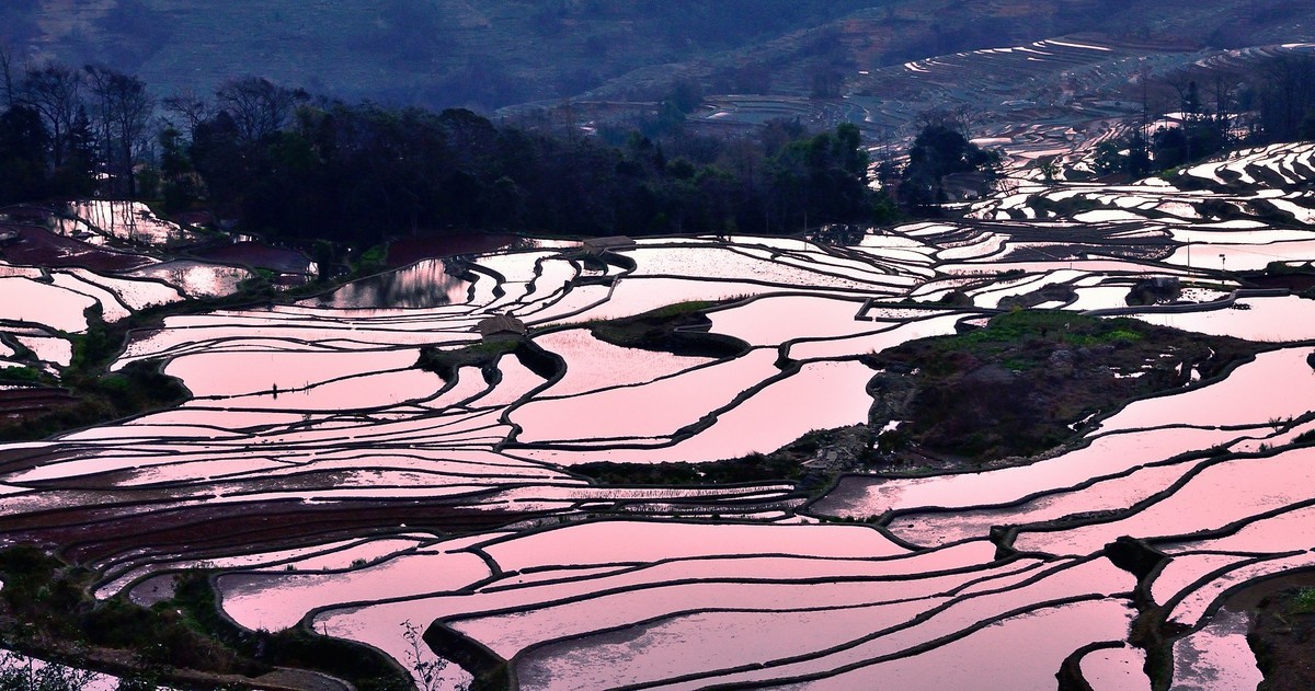 元阳梯田风光