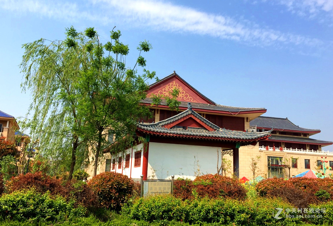 东明玉皇新村和金堤的古槐