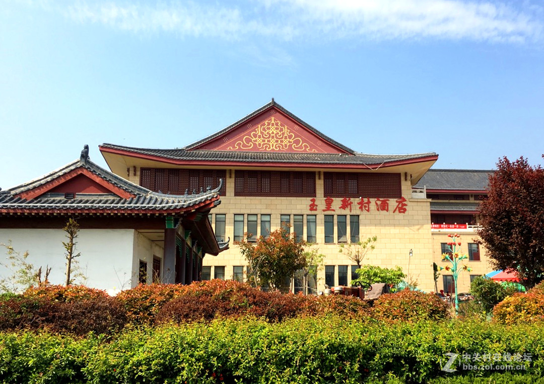 东明玉皇新村和金堤的古槐