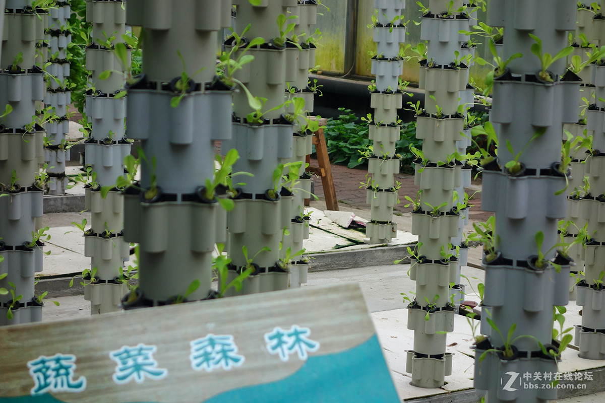 走进华西村——农业生态园