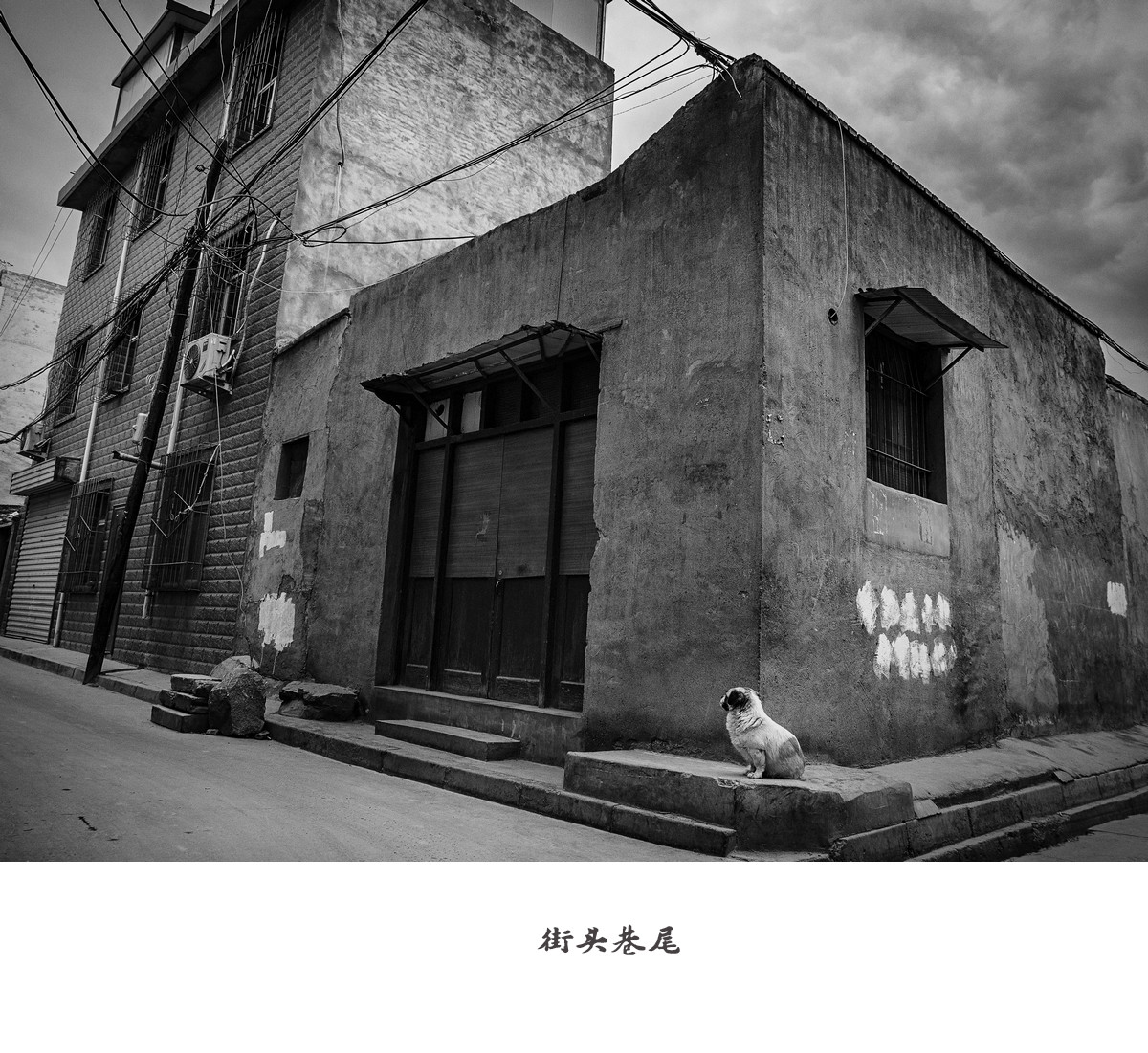 游走在城市的大街小巷