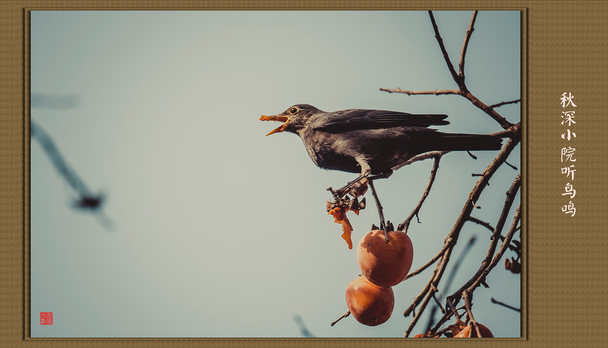 #版主坐堂#《自然风景星空(中国)每月精选》2016年11月份优秀作品选编