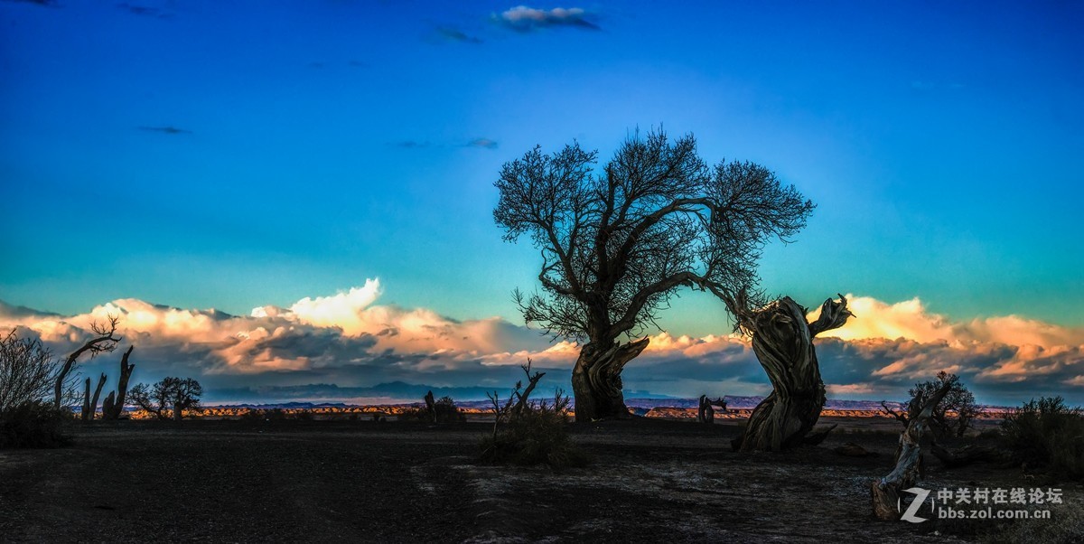 #版主坐堂#《自然风景星空(中国)每月精选》2016年11月份优秀作品选编