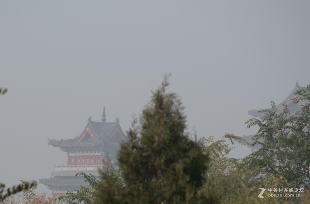 晨雾