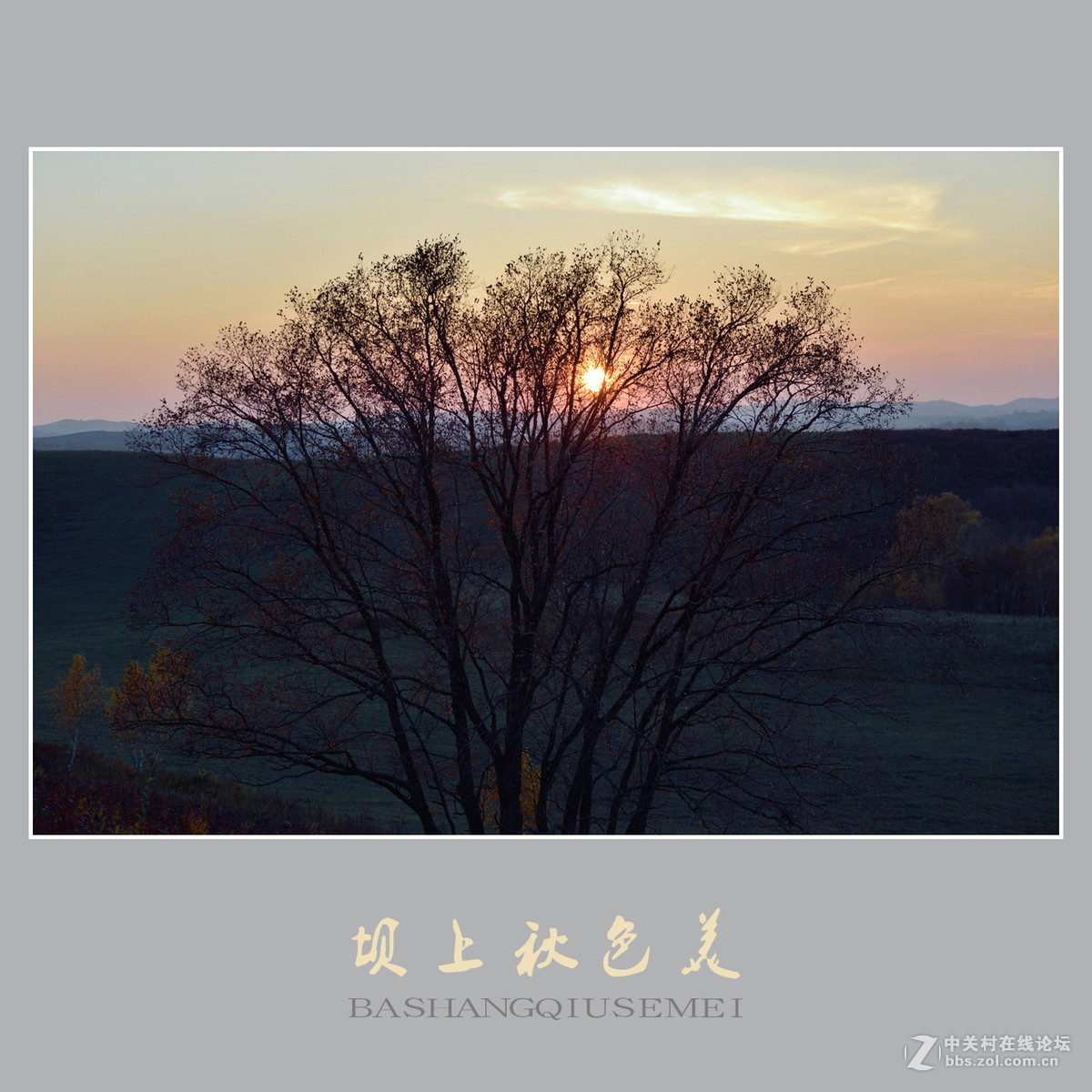 坝上秋色美    （尼康D810配27-70mm镜头）