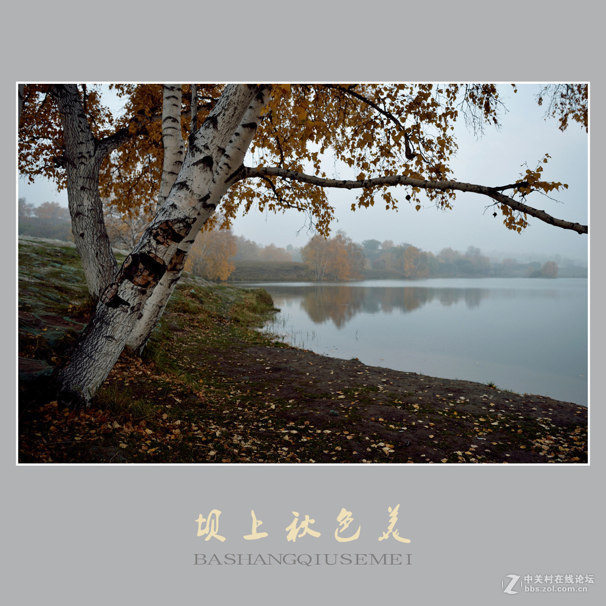 坝上秋色美    （尼康D810配27-70mm镜头）