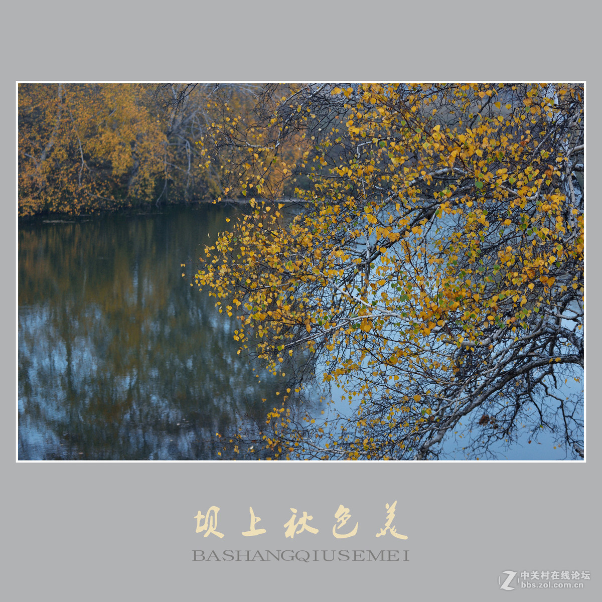 坝上秋色美    （尼康D810配27-70mm镜头）