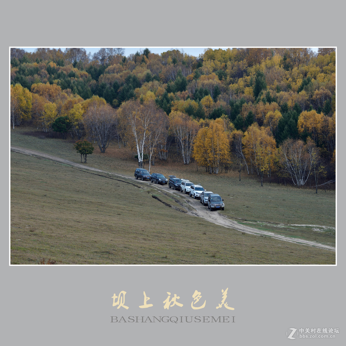 坝上秋色美    （尼康D810配27-70mm镜头）