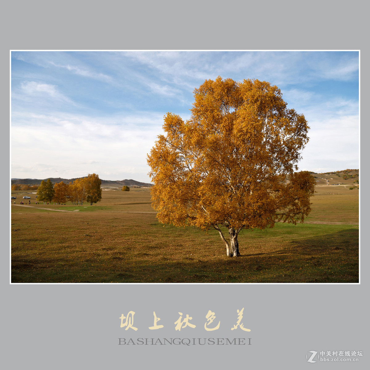 坝上秋色美    （尼康D810配27-70mm镜头）