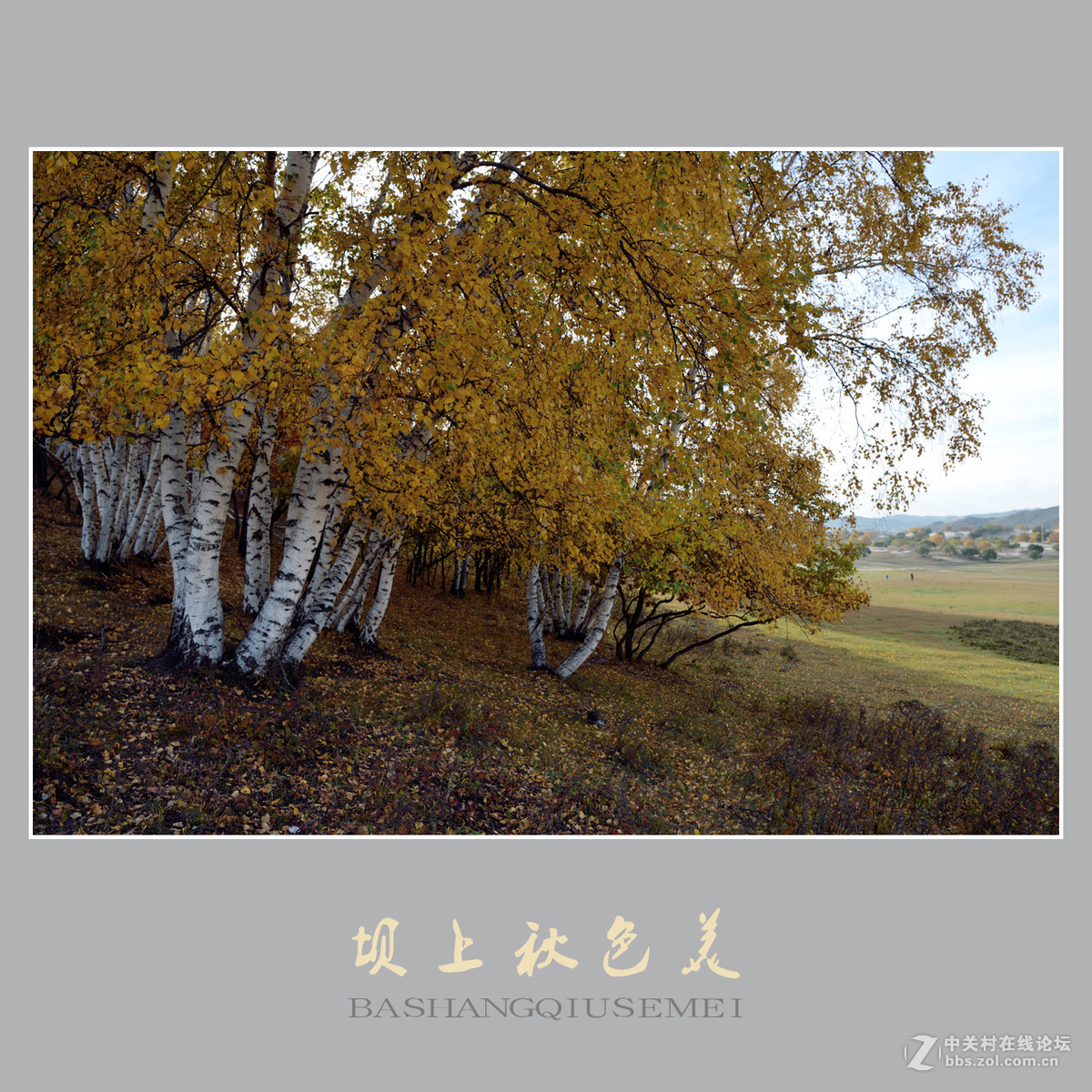 坝上秋色美    （尼康D810配27-70mm镜头）