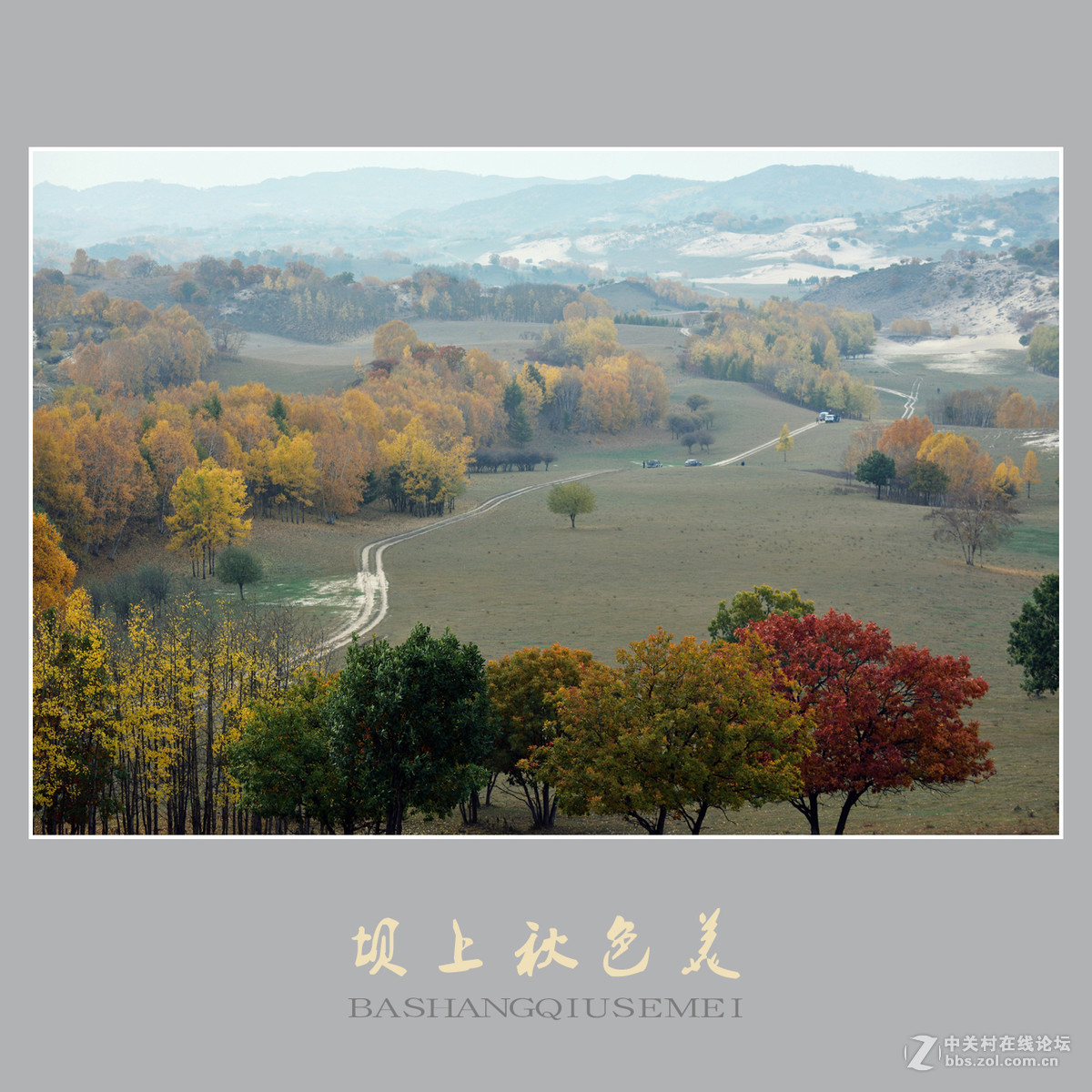 坝上秋色美    （尼康D810配27-70mm镜头）