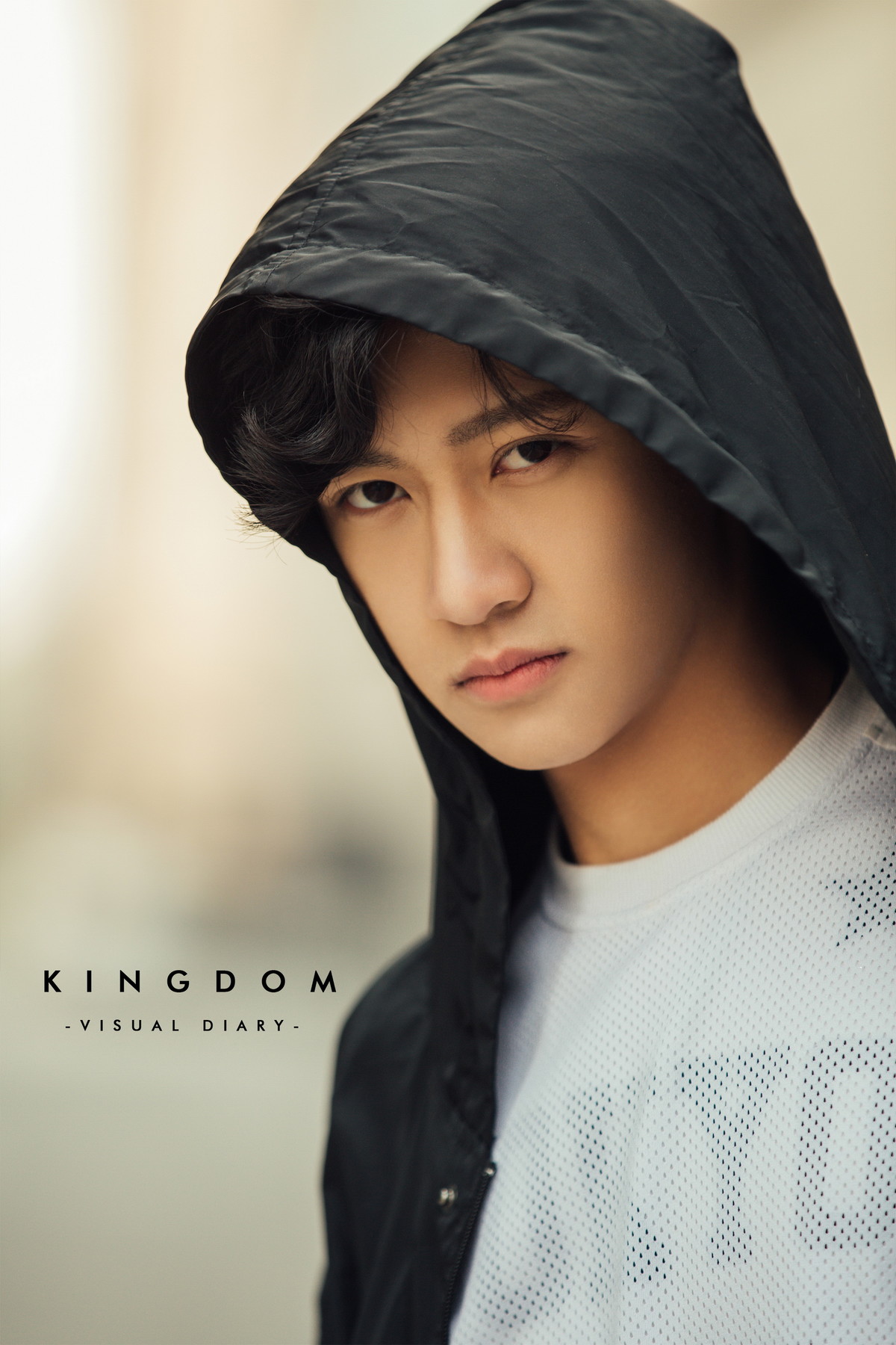 【KINGDOM】By祁慢慢