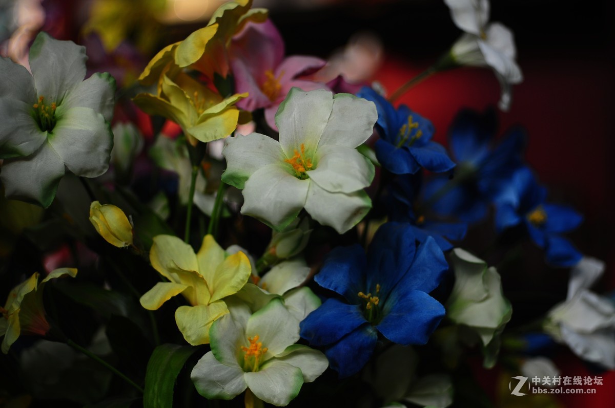 百丽老镜头 CC.Auto  55/1.8 试拍