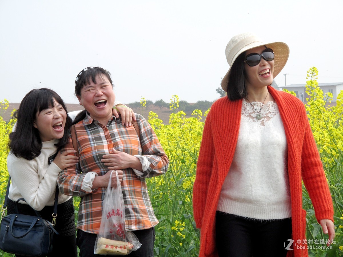 金堂三溪镇油菜花开