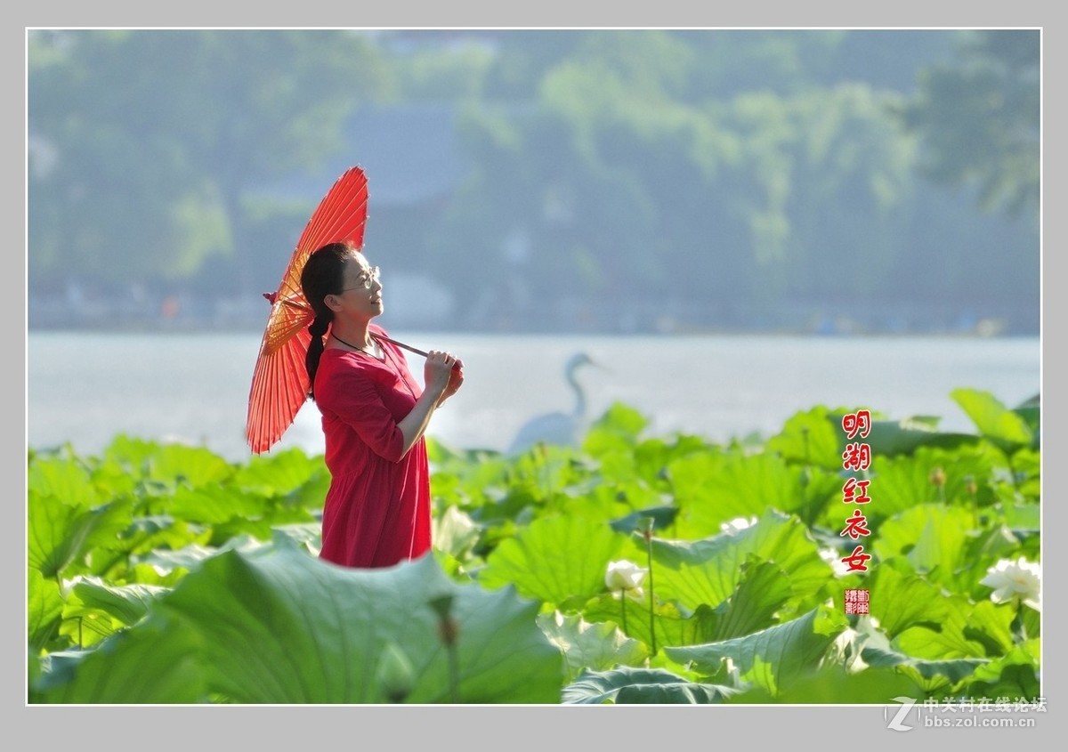 【视觉光影】明湖随拍（1）