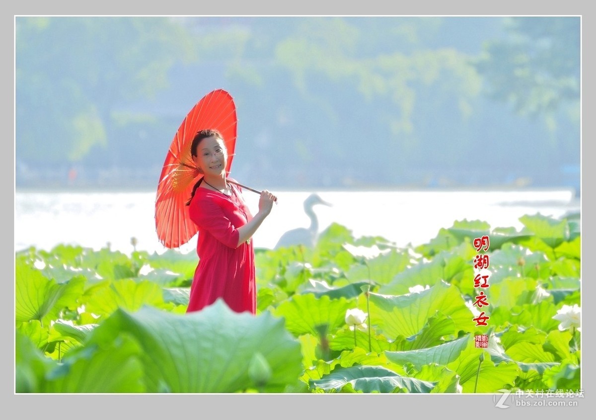 【视觉光影】明湖随拍（1）