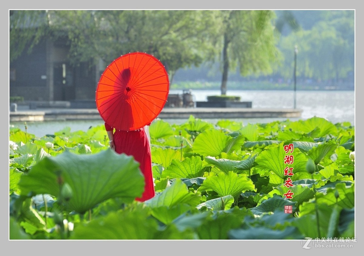 【视觉光影】明湖随拍（1）