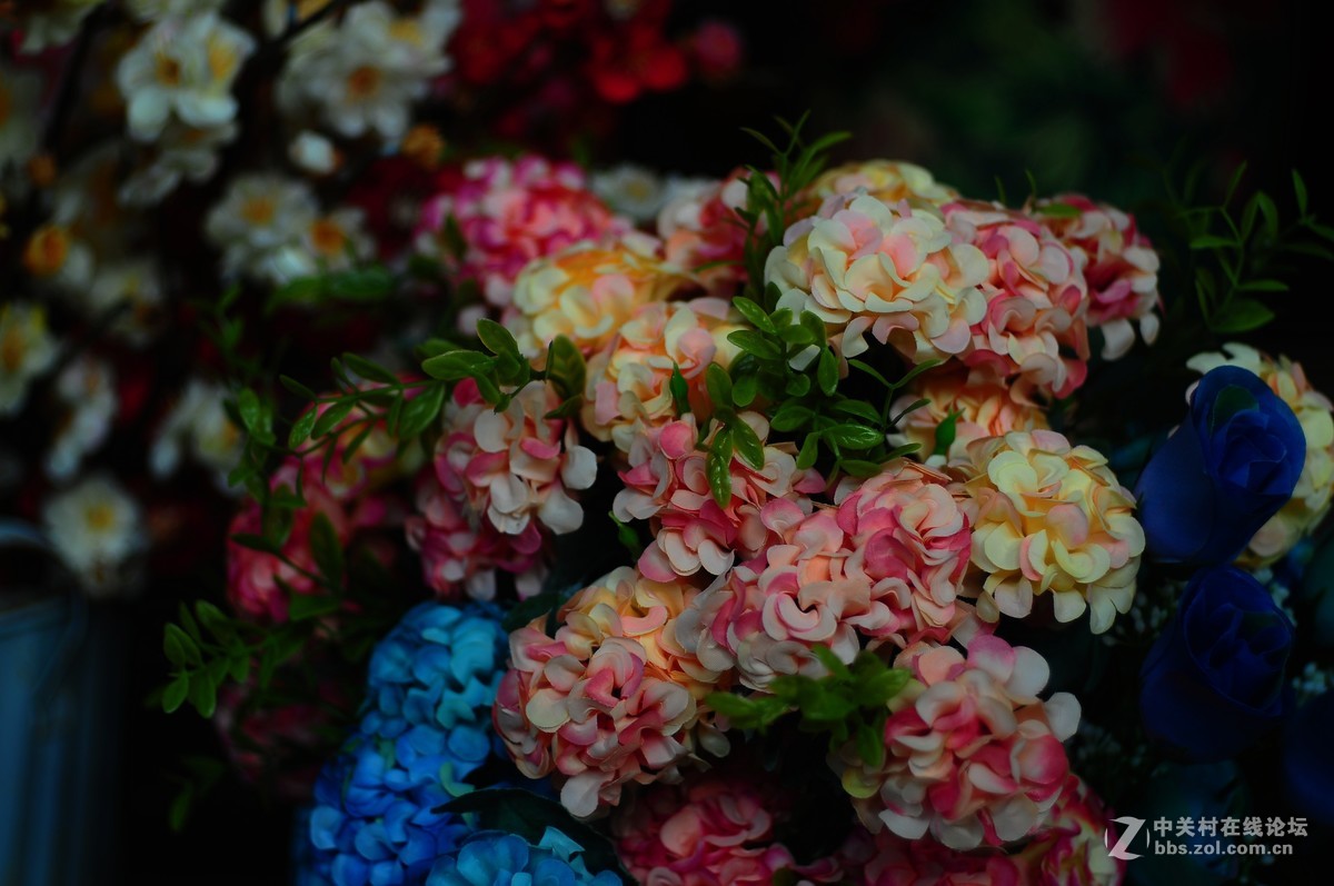 百丽老镜头 CC.Auto  55/1.8 试拍